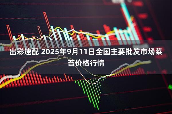 出彩速配 2025年9月11日全国主要批发市场菜苔价格行情