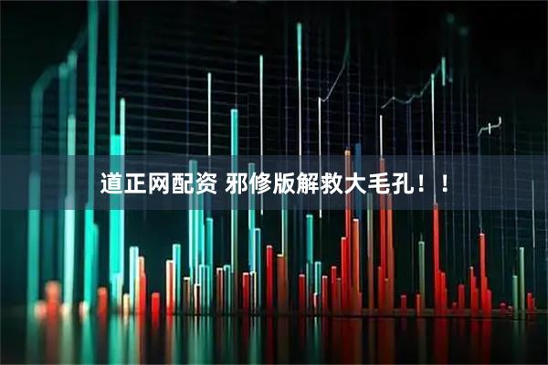 道正网配资 邪修版解救大毛孔！！