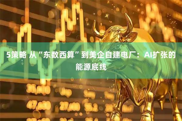 5策略 从“东数西算”到美企自建电厂：AI扩张的能源底线