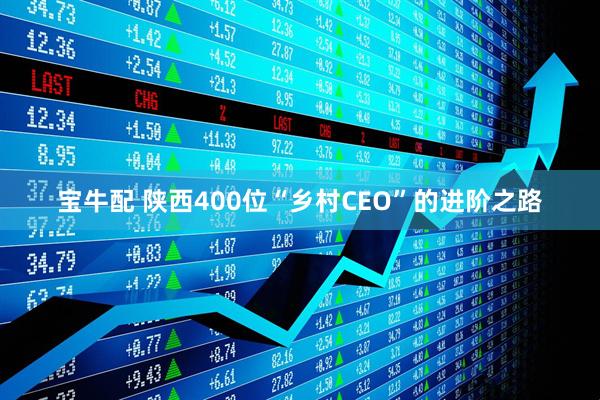 宝牛配 陕西400位“乡村CEO”的进阶之路