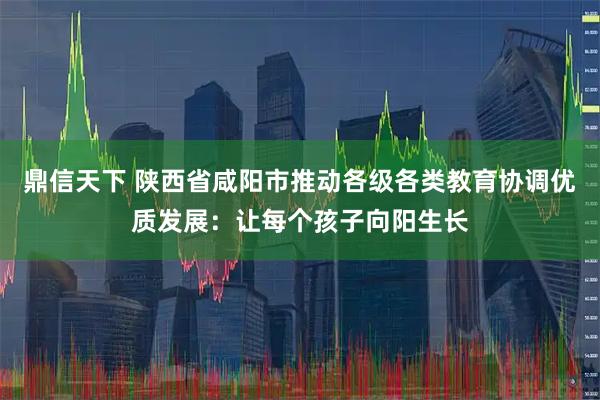 鼎信天下 陕西省咸阳市推动各级各类教育协调优质发展：让每个孩子向阳生长