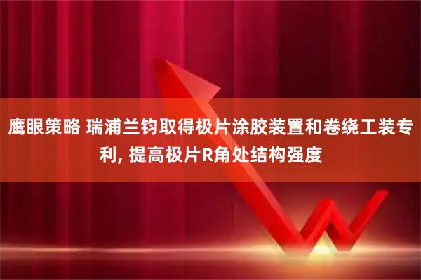 鹰眼策略 瑞浦兰钧取得极片涂胶装置和卷绕工装专利, 提高极片R角处结构强度