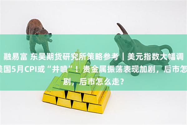 融易富 东吴期货研究所策略参考｜美元指数大幅调整，美国5月CPI或“井喷”！贵金属振荡表现加剧，后市怎么走？