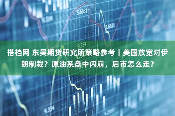 搭档网 东吴期货研究所策略参考｜美国放宽对伊朗制裁？原油系盘中闪崩，后市怎么走？